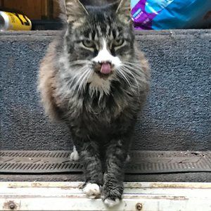 Meet your Posher, John